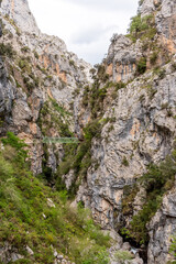 Magnificent landscape of the Cares gorge in the Picos de Europa mountains in Asturias, Spain