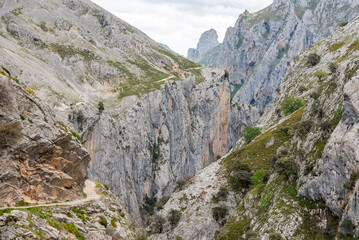 Magnificent landscape of the Cares gorge in the Picos de Europa mountains in Asturias, Spain