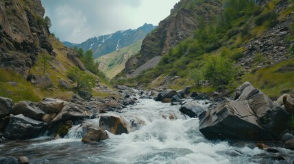 Mountain River Flowing Through Rocky Valley