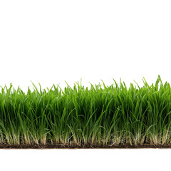 Vibrant Green Grass Field Ideal for Nature-Themed Designs, Presentations, and Backgrounds Featuring Transparent Background for Easy Integration
