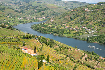 Fototapeta premium Quaint Douro valley with terraced vineyards at Imaginario viewpoint