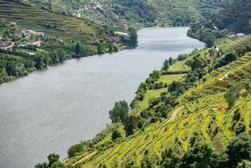 Quaint Douro valley with terraced vineyards at Imaginario viewpoint