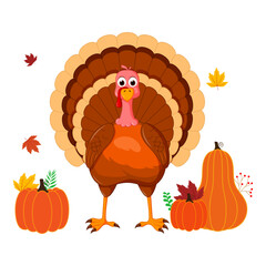 Vector illustration of turkey bird with pumpkins and maple leaves on transparent background