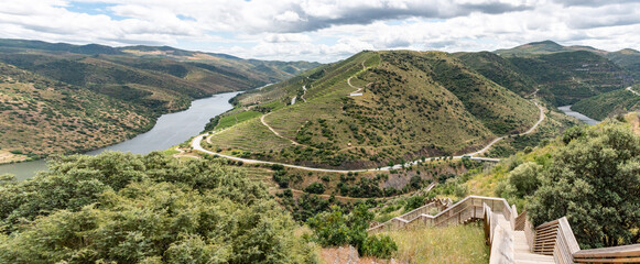 Famous world heritage Douro valley with grapevine terraces where the Coa river flows into the Douro