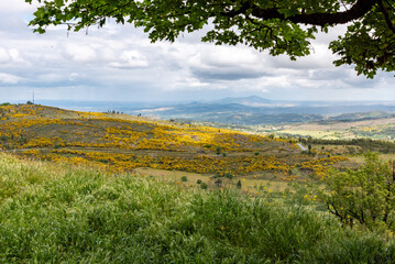 Obraz premium Wide view of quaint rural landscape with a field of yellow flowers near Tracoso