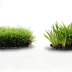 High-Resolution Image of Lush Green Grass on a Transparent Background for Use in Graphic Design Projects and Nature-Themed Visuals