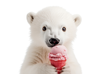 Polar bear with ice cream on a transparent background.