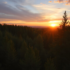A beautiful sunset over a forest with trees in the foreground