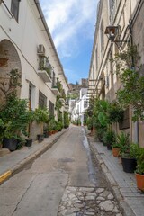 beautiful streets of the village of Alburquerque with plants in the houses and balconies.