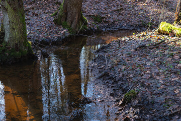 Small stream in the middle of the forest during winter season