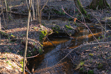 Small stream in the middle of the forest during winter season