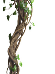 High-Quality PNG Twisted wild liana jungle vines plant growing on tree branch Isolated on White Background – High Resolution