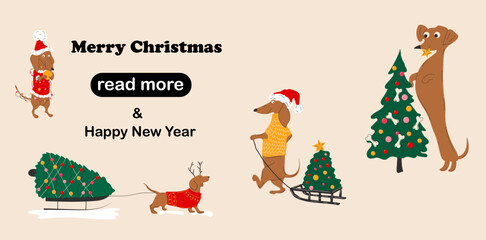 Fototapeta premium Web page design template. Dachshunds dogs pulls a Christmas tree on a sleigh and decorate Christmas trees. 