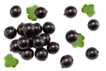 black currant with green leaf isolated on white background. clipping path. top view