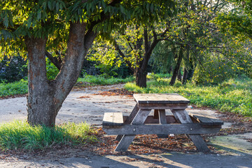 A wooden bench found on a quiet walking path with fallen leaves at sunset.