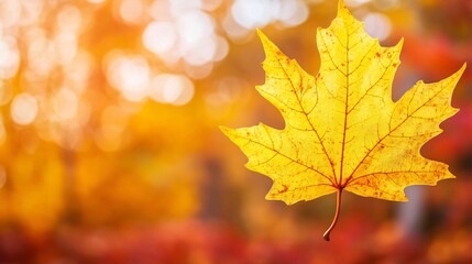 2410 53.A vibrant yellow autumn leaf in sharp focus, with a soft, out-of-focus background of warm orange and red trees. The leaf's intricate texture and golden color capture the beauty of fall, with