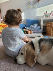 Bambina che gioca con beagle