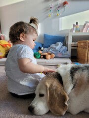 Bambina che gioca con beagle