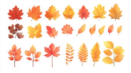 2410 50.A diverse set of autumn leaves in a flat vector style, featuring a variety of shapes and colors from oak, maple, and chestnut trees. The leaves are depicted in vibrant shades of red, yellow,