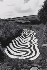 Black and White Painted Riverbed: A Serene Landscape Art Intervention