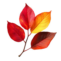 Obraz premium Four autumn leaves in red, orange, and yellow hues on a twig against a black background.