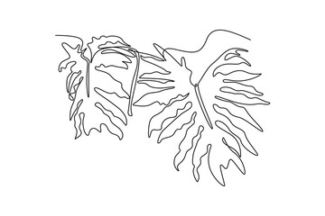 Single one line drawing beautiful tropical leaf plant. Printable decorative philodendron selloum houseplant concept for home wall decor. Modern continuous line draw design graphic vector illustration © onetime