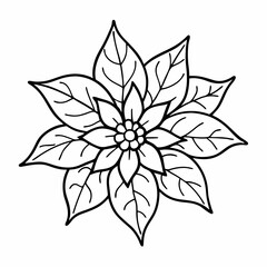 poinsettia black and white illustration