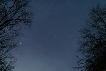 The constellations Orion, Taurus and Pleiades seen in the winter sky in a dark wild place far from...