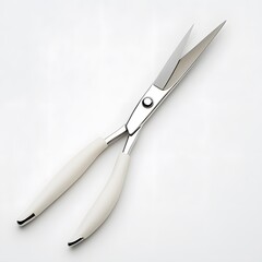 Elegant Kitchen Scissors with Sleek Design