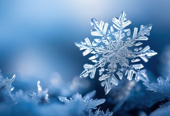 macro lens showcasing exquisite close details unique snowflake patterns intricate designs natural forms, crystal, ice, winter, texture, nature, symmetry