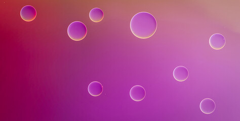 Let the Vivid Colors and Intricate Abstract Patterns Ignite Your Imagination