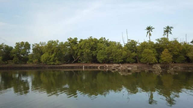 KEN_Kongo_River_Kenia_Ukunda_DianiBeach_Mangroves_Boattrip_2022_001_4K_23sec.mp4