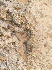 Coastal rocks and sea water as a natural background.