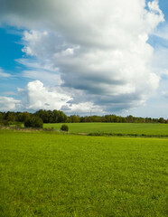 Green field in the Kashubian countryside. Poland.