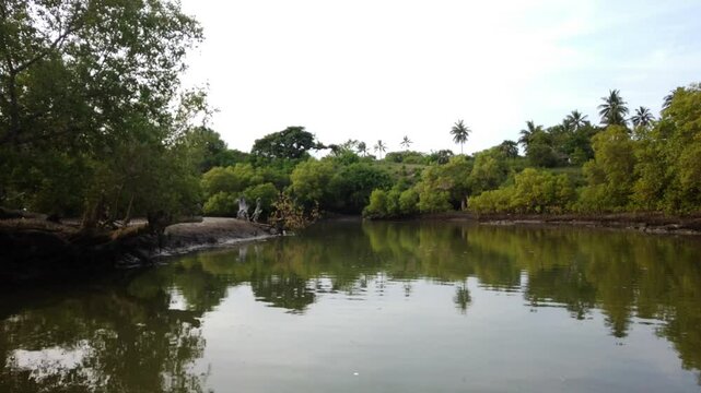 KEN_Kongo_River_Kenia_Ukunda_DianiBeach_Mangroves_Boattrip_2022_002_4K_42sec.mp4