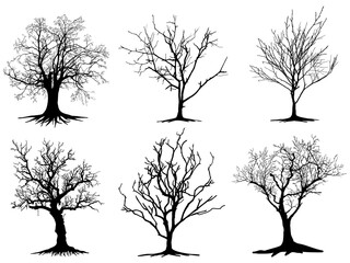 Obraz premium Black Branch Tree and root or Naked trees silhouettes set. Hand drawn isolated illustrations.