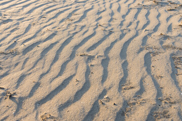 Golden sunlight over a sandy beach with ripples, evoking a warm and inviting atmosphere. Suitable for concepts of eco-friendly tourism and nature.