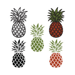 A set of Pineapple vector illustration.