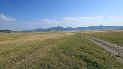 Fototapeta premium A remote road cutting through a grassy plain, with distant mountains visible in the background and no one around
