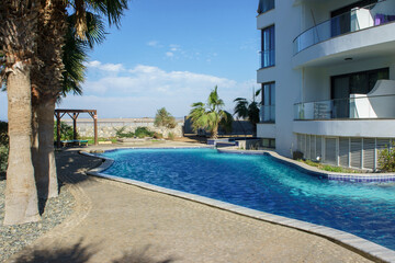 Serene outdoor pool at a modern coastal villa surrounded by palm trees on a sunny day.