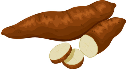 Cassava Illustration