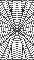 Fototapeta premium Seamless spider web. Connected black lines on white background