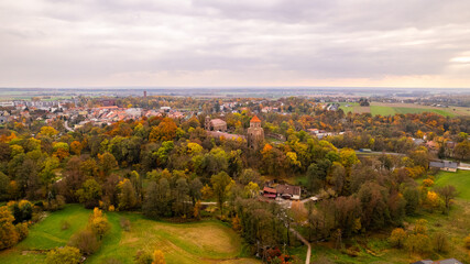 Zamek w Toszku