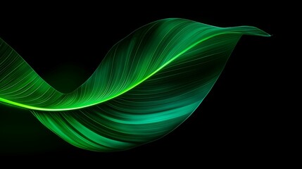 Vibrant green leaf with intricate veins on a black background, highlighting nature’s elegant simplicity.