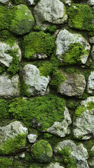 Lush green moss on a rugged stone wall, seamless natural background texture -