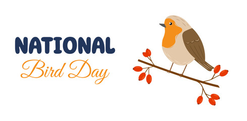 National Bird Day. January 5. Colorful hand drawn bird robin sitting on a branch with berries. Vector template for holiday poster, banner, flyer, card.