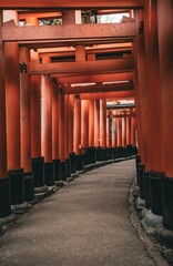 temple Fushimi-Inari Taisha , Torii , Kyoto , Japon
