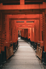 temple Fushimi-Inari Taisha , Torii , Kyoto , Japon