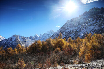 Perfect autumn and snowy mountains in Bipenggou, Sichuan, China