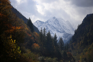 Fototapeta premium Perfect autumn and snowy mountains in Bipenggou, Sichuan, China